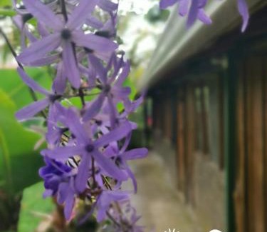 Santa Cruz de Turrialba Hotel | Vista Turrialba Lodge