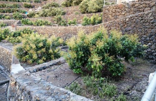 La Orotava Casa | Vista Valle