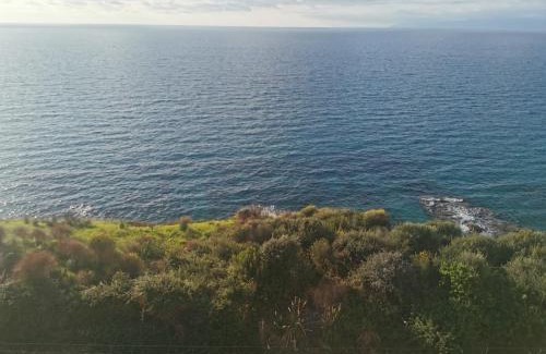 Pizzo Casa | VistaMare Piedigrotta Casa sul mare