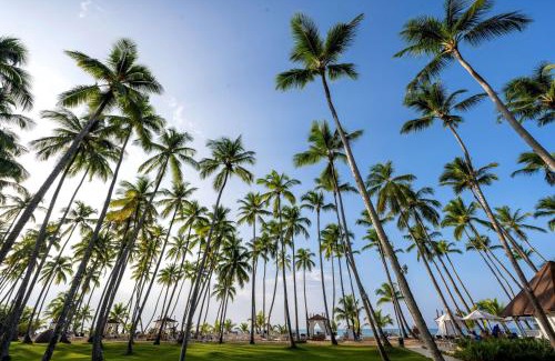 Las Terrenas Complejo | Viva V Samana by Wyndham, A Trademark Adults All Inclusive
