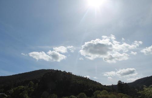 Viveiro Apartamento | Viveiro