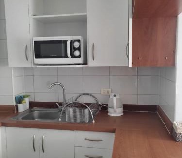 Bellavista Apartamento | Vivir en Santiago