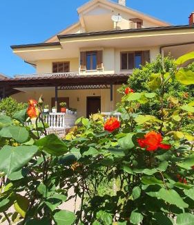 Shkoder Hotel | Vizion Hotel