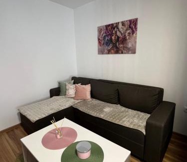 Vrsac Apartamento | Vlasic Apartmani HANA