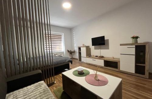Vrsac Apartamento | Vlasic Apartmani HANA
