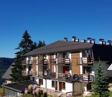 Babanovac Apartamento | Vlasicka avantura Eko Fis 509