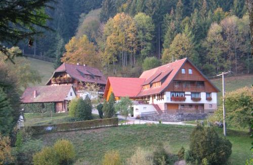Bad Rippoldsau-Schapbach Apartamento | Vogtshof