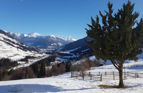 Racines Apartamento | Volggerhof