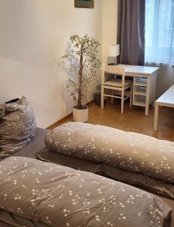 Bad Homburg v.d. Hoehe Casa | Von privat, Großes Zimmer sehr zentral in Bad Homburg Stadtmitte