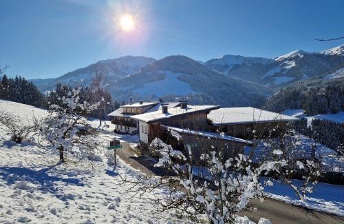 Wildschoenau Apartamento | Vorderaltensberg
