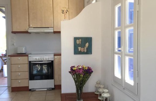 Naxos Casa | Votsalo House
