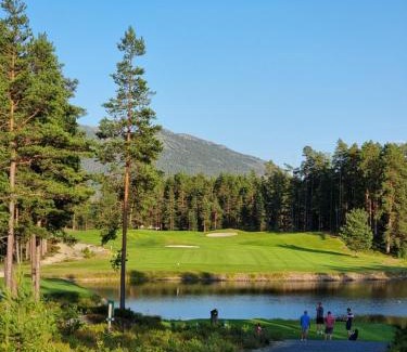 Kviteseid Apartamento | Vrådal Golf Clubhouse With Views Of The First Tee!