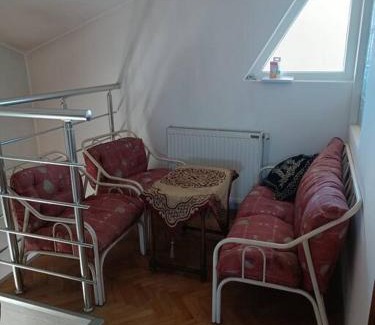 Vranje Apartamento | Vranje City Center, Penthouse Delux Apartment