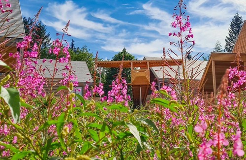 Gersfeld Chalet De Esquí | Vrbo Property