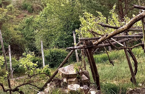 Monesiglio Casa | Vrbo Property