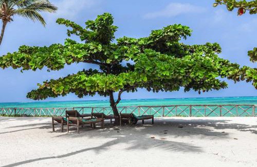 Paje Hotel | VRclub Paje Palms Beach Resort