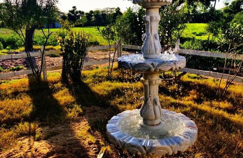 Bali Casa | Vriksh Jawai The farm stay