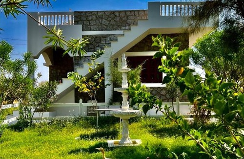 Bali Casa | Vriksh Jawai The farm stay