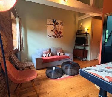 Saint-Cyr-au-Mont-d'Or Apartamento | Vue, charme, calme Duplex cosy à 10 min de Lyon