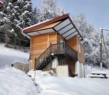 Bois-d'Amont Chalet De Esquí | Vue imprenable , lac des Rousses 2 km