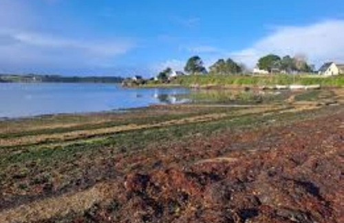 Crozon Cama Y Desayuno | vue mer de l'autre coté du jardin