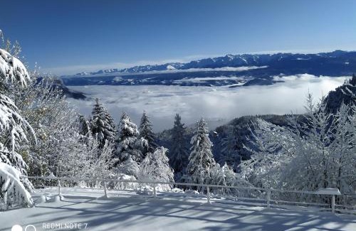 Saint-Nizier-du-Moucherotte Cama Y Desayuno | Vue sur Belladonna