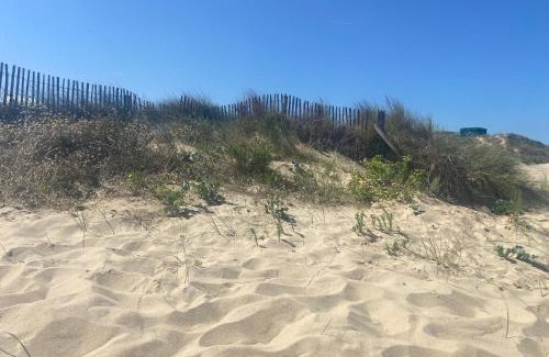 Bleriot-Plage Apartamento | Vue sur dunes !