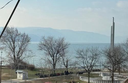 Donji Milanovac Apartamento | Vuk Apartman