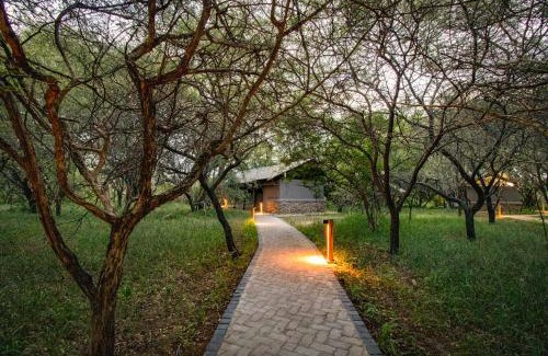 Thorny Bush Game Reserve Cabina | Vuyani Safari Lodge