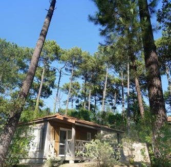 Moliets-et-Maa Complejo | VVF Landes Moliets