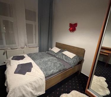 Vysehrad Apartamento | Vysehrad studio near the Congress Centre