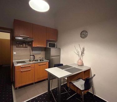 Vysehrad Apartamento | Vysehrad studio near the Congress Centre