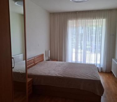 Siauliai City Center Apartamento | Vytautas Apartments