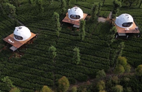 Vayittiri Complejo | Vythiri Tea Valley