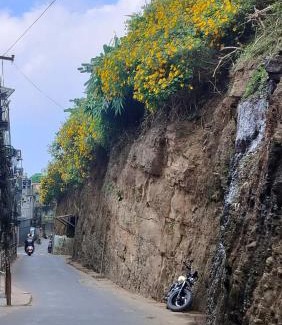 Aizawl Casa | W-26 Dawrpui