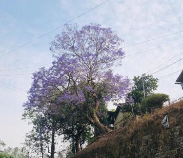 Aizawl Casa | W-26 Dawrpui