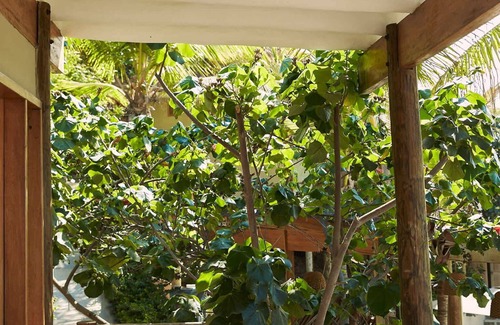Las Pocitas Casa | w*| Exceptional 1BR w/ Pool in Máncora