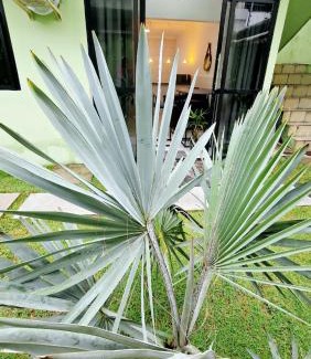 Piedade Apartamento | W loft & residence