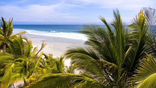 Punta Cana Complejo | W Punta Cana, Adult All-Inclusive