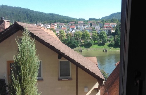 Hirschhorn Apartamento | W2.Natur. It is the former supply house of Hirschhorn Castle.