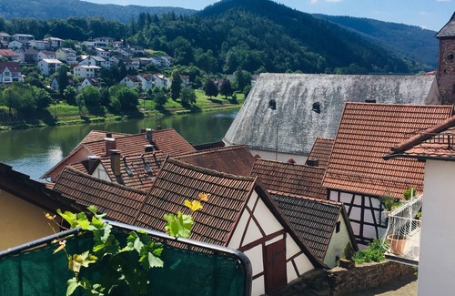 Hirschhorn Casa | W4.Neckar view, nature, old town