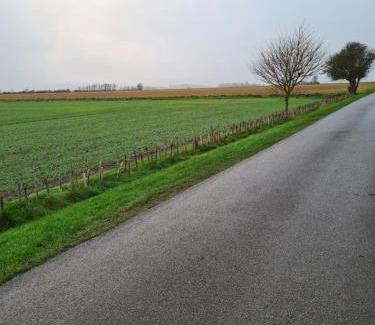 Winestead Otro | Waders retreat