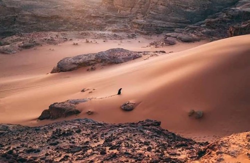 Wadi Rum Alquiler De RV | Wadi rum echo camp