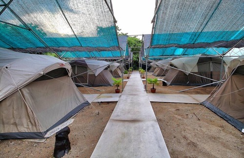 Sandakan Alquiler De RV | Walai Penyu Conservation Park
