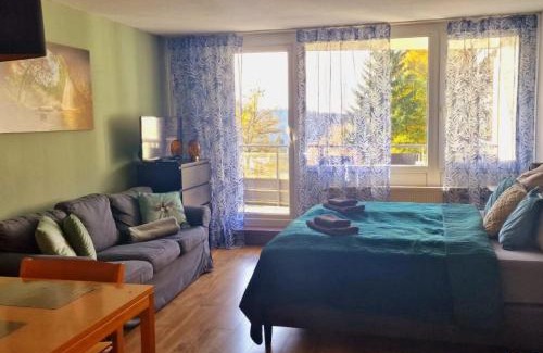 Sankt Englmar Apartamento | Wald Apartments im Predigtstuhl Resort