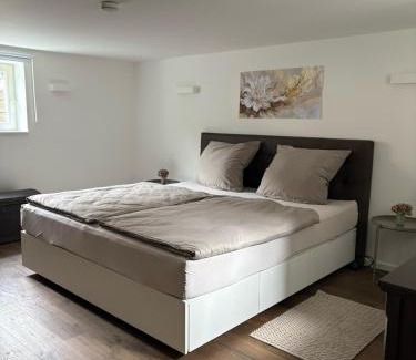 Ramersdorf Apartamento | Waldblick am Rhein - Natur & Citynah -