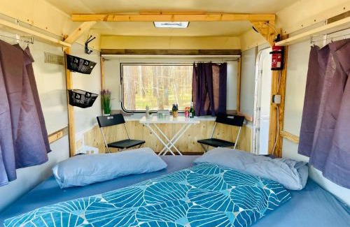 Cottbus Otro | WaldCamp mit einfachen und zweckmässigen Hütten und Caravans Natur Pur