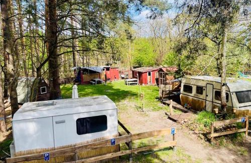 Cottbus Otro | WaldCamp mit einfachen und zweckmässigen Hütten und Caravans Natur Pur