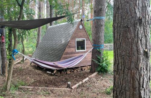 Cottbus Otro | WaldCamp mit einfachen und zweckmässigen Hütten und Caravans Natur Pur