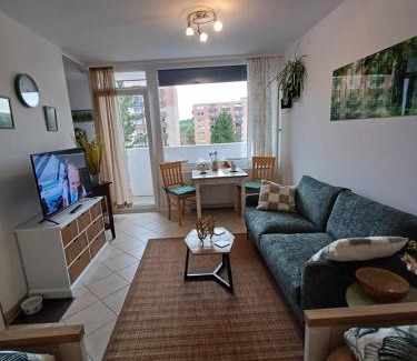 Altenau Apartamento | Waldgeflüster